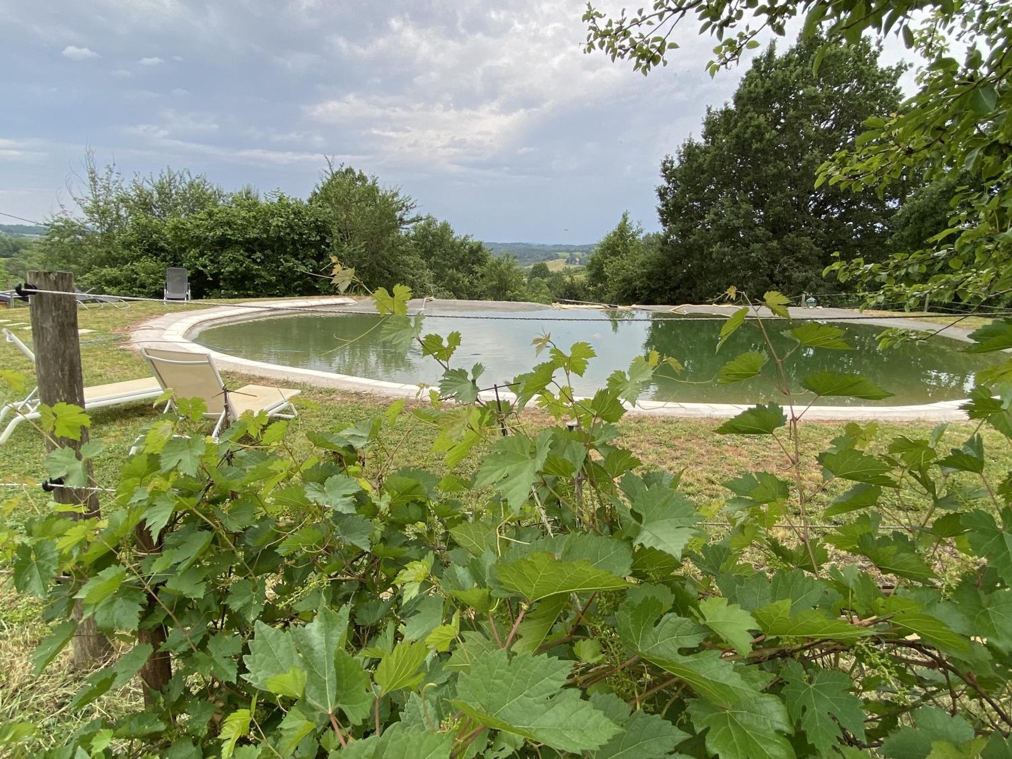 Chambre Bleuet Bed & Breakfast Auriac-du-Perigord Exterior photo